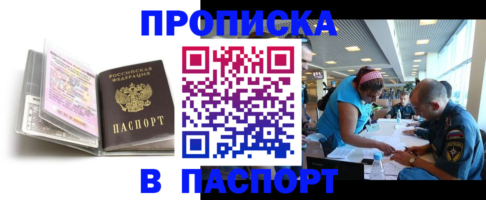 временная регистрация поиск в Благовещенске